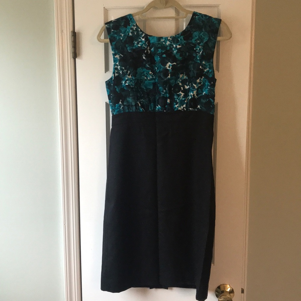J. Crew dress